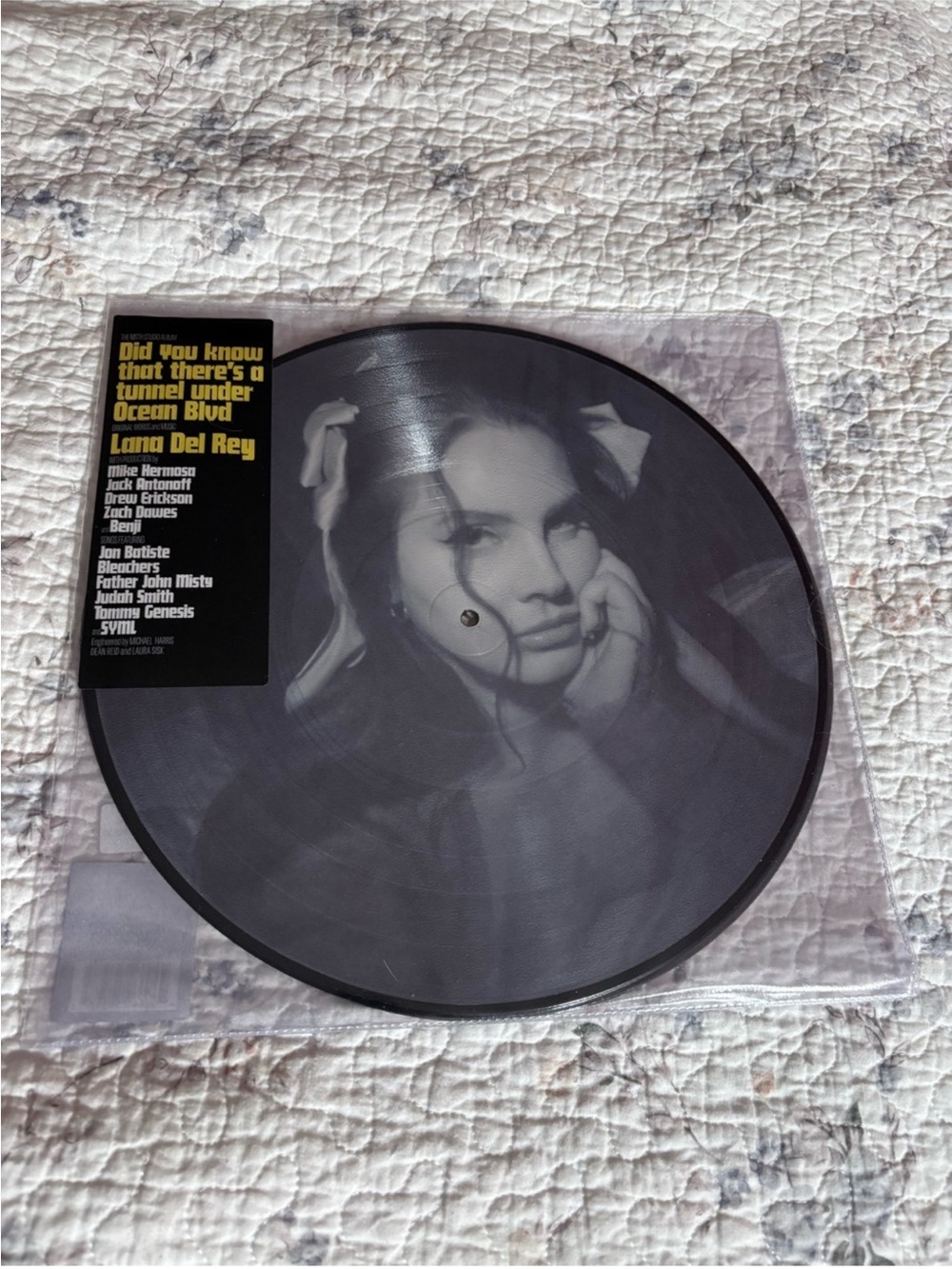 Luna Del Rey Picture Disc Vinyl